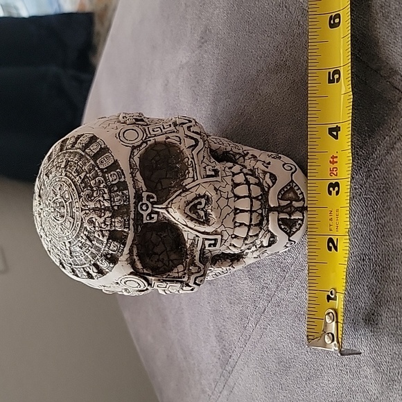 Skull - decor - Picture 5 of 7